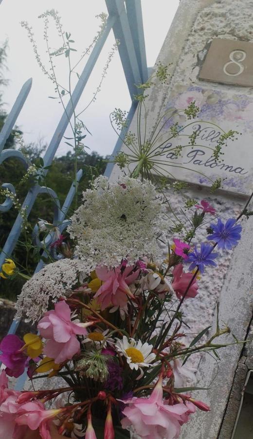 La Paloma Casa Vacanze Lucinasco Zewnętrze zdjęcie